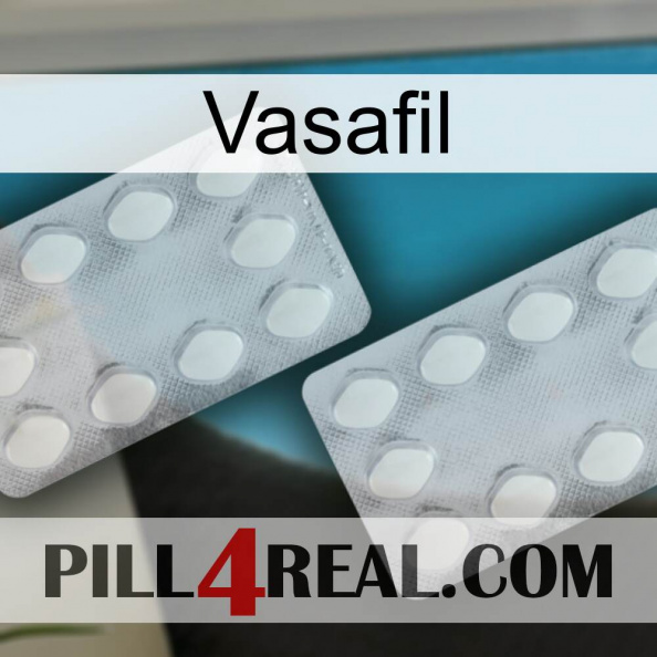 Vasafil 17.jpg